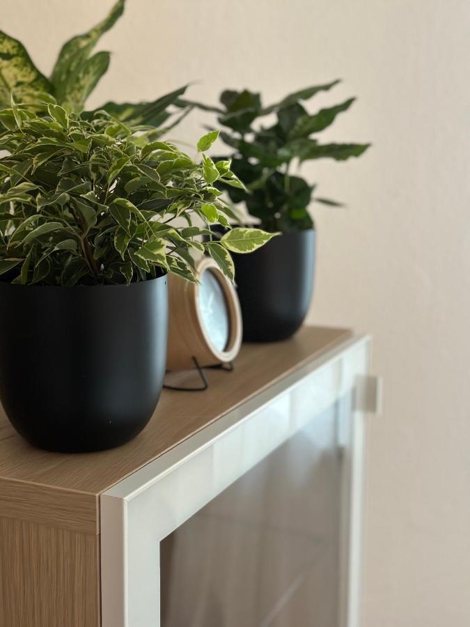 Appartement Elena Лінц Екстер'єр фото