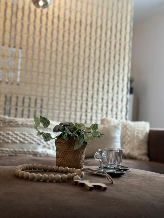 Appartement Elena Лінц Екстер'єр фото